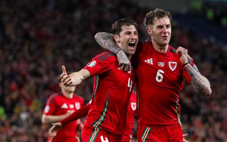 威尔士客场击败斯洛伐克，豪取胜利的简单介绍