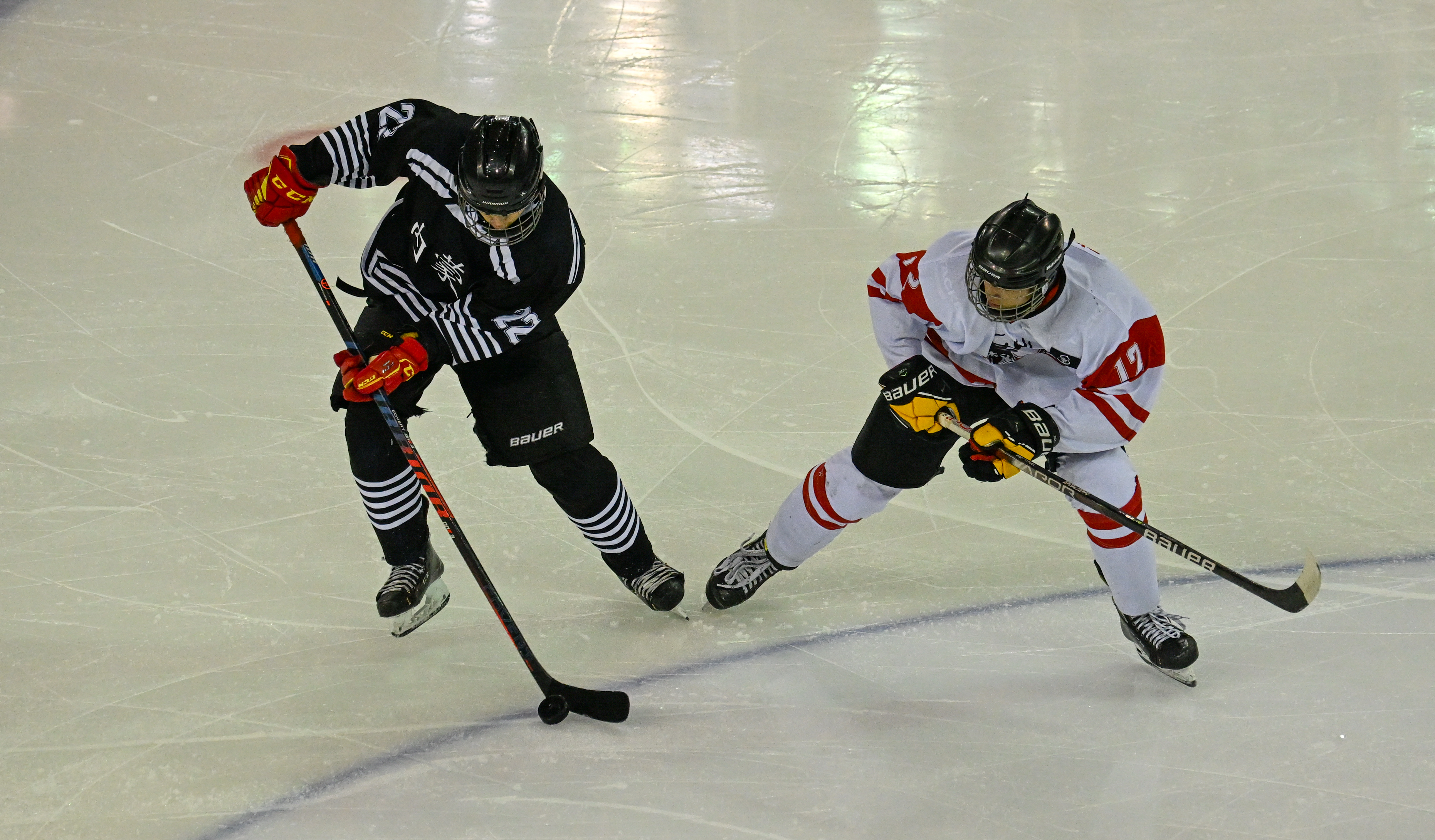 冷门频出！冰球战况跌宕起伏的简单介绍