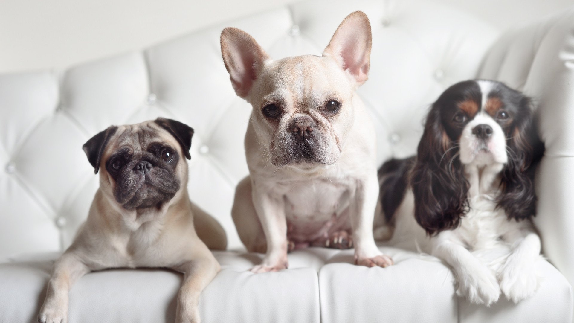 夜色与荣光,乔治一锤定音的欧冠半决赛夜