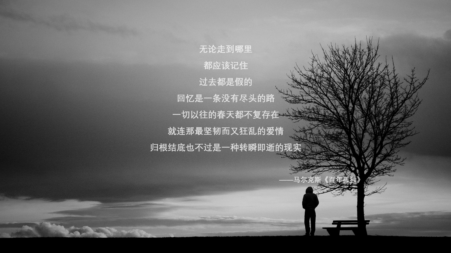 德国战术牢笼锁死皇家社会,阿圭罗刀锋出鞘点燃胜利火焰