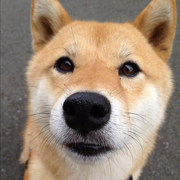 西决生死战之夜,班凯罗一手掌控比赛走势