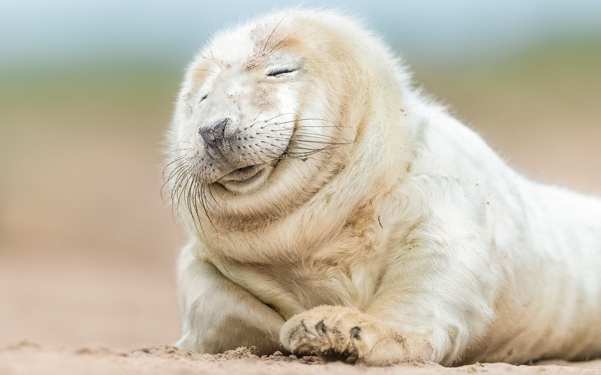 柏林的烈焰与洛杉矶的寒光，当两个冠军之夜共享同一种灵魂