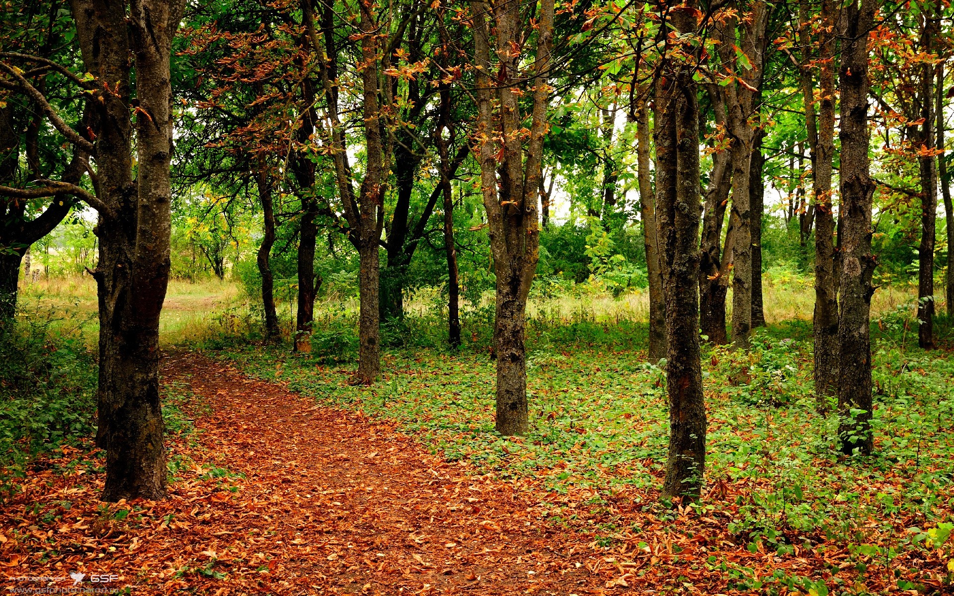 巨星的法则，在最大的舞台上，做唯一的詹姆斯