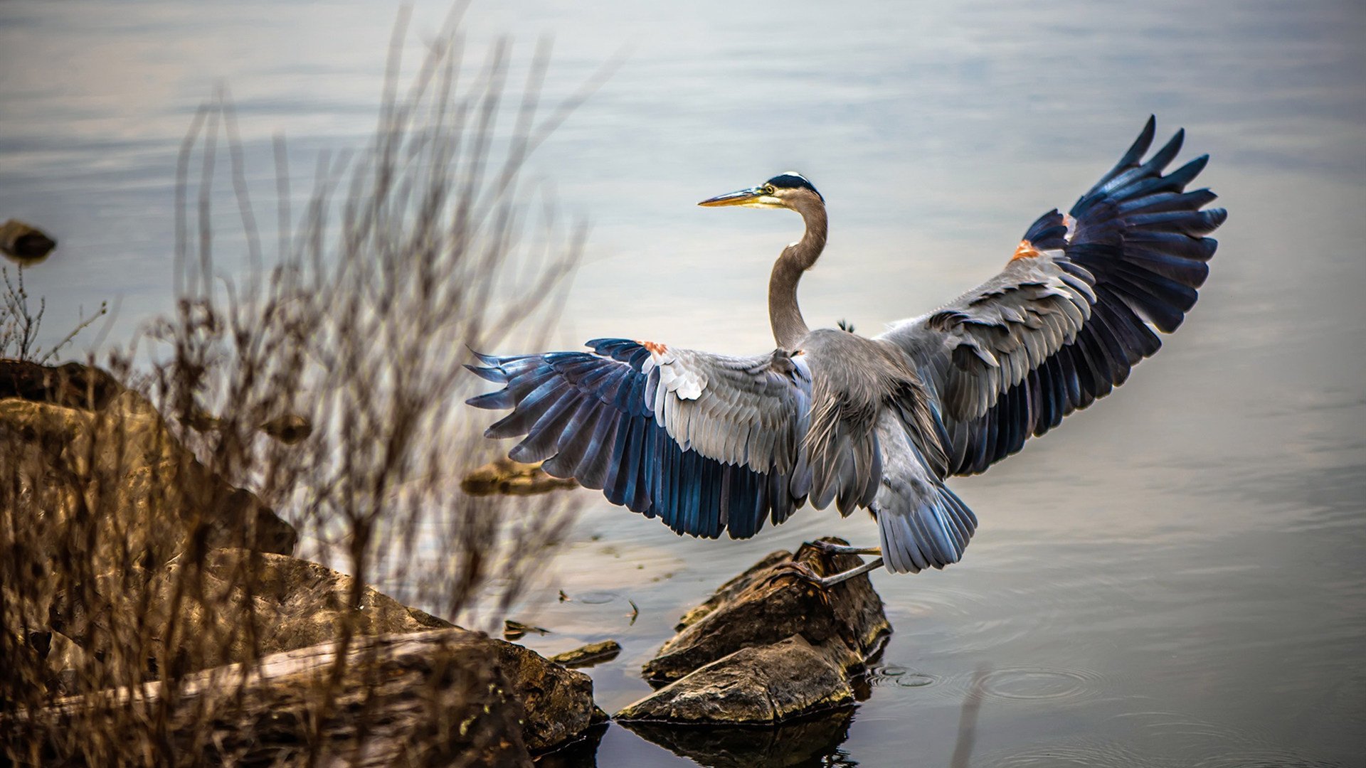 贝恩生涯之夜闪耀，活塞跨洲对决击败吉林队