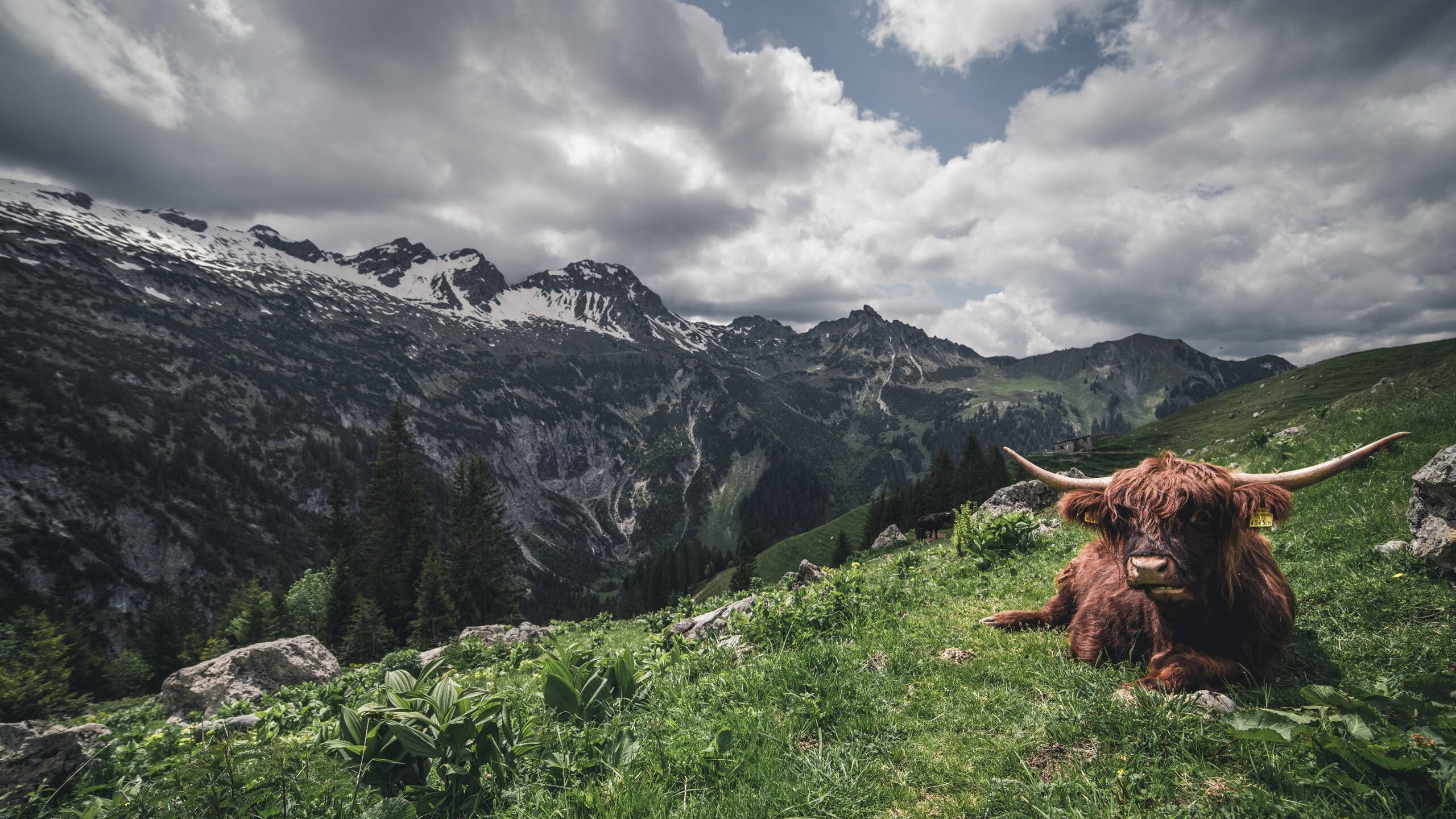 世俱杯时间-终场哨响前，保罗一锤定音！火箭惊险逆转深圳队
