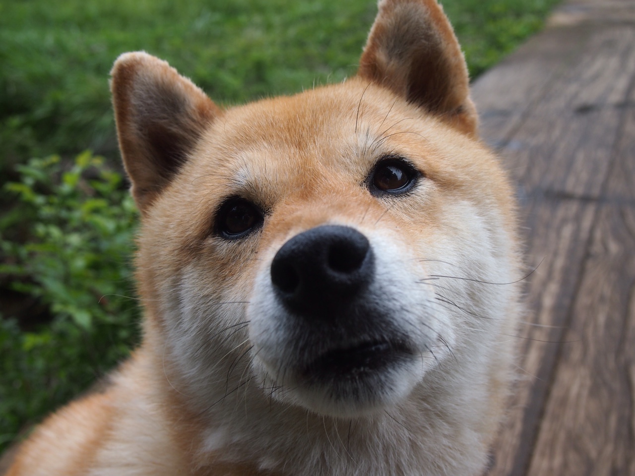 夜魔觉醒，哈弗茨关键节点连斩，撕裂东部终极黑夜