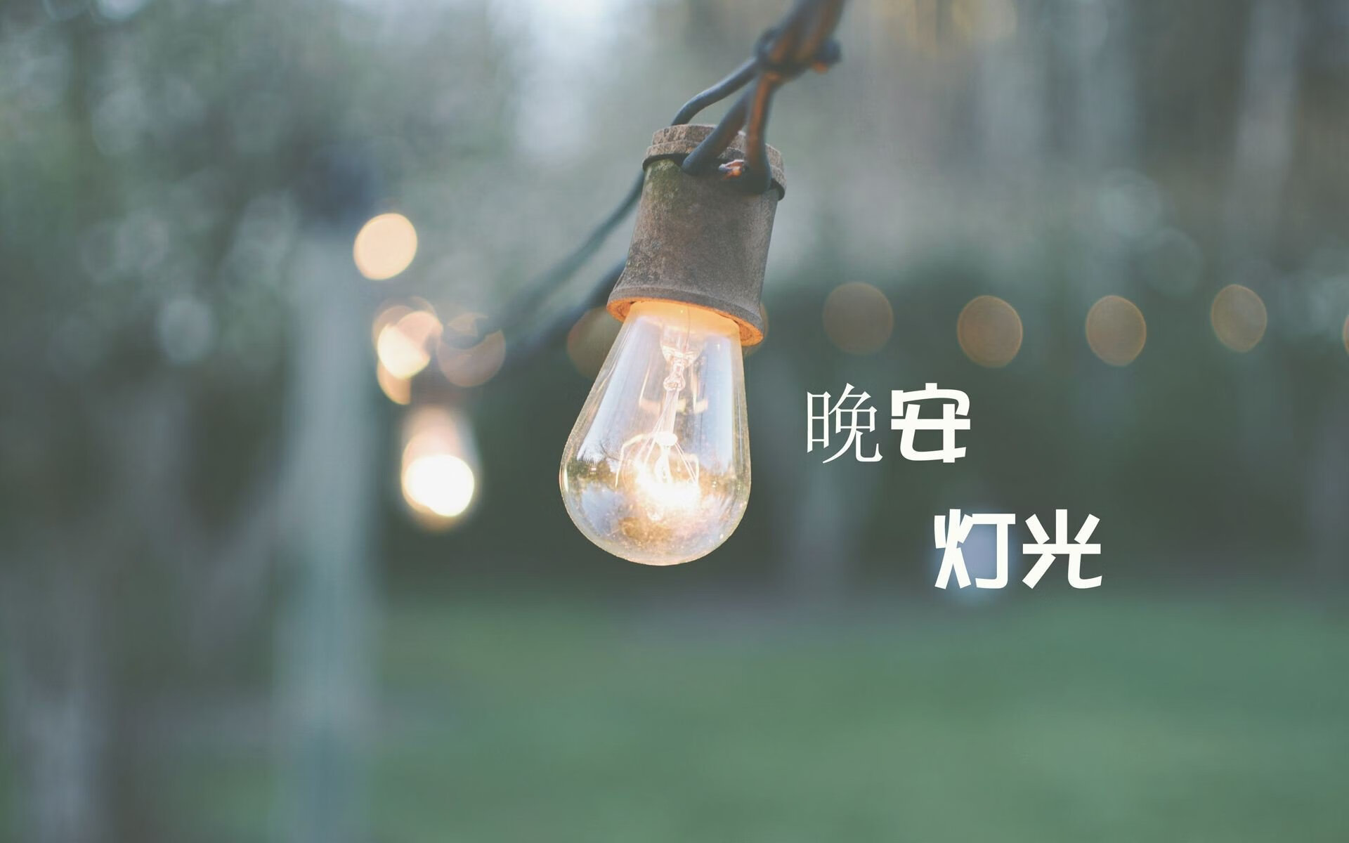 2026世界杯F组强强对话,匈牙利完胜伊拉克,卢卡库闪耀全场,红魔军团演绎默契足球新高度