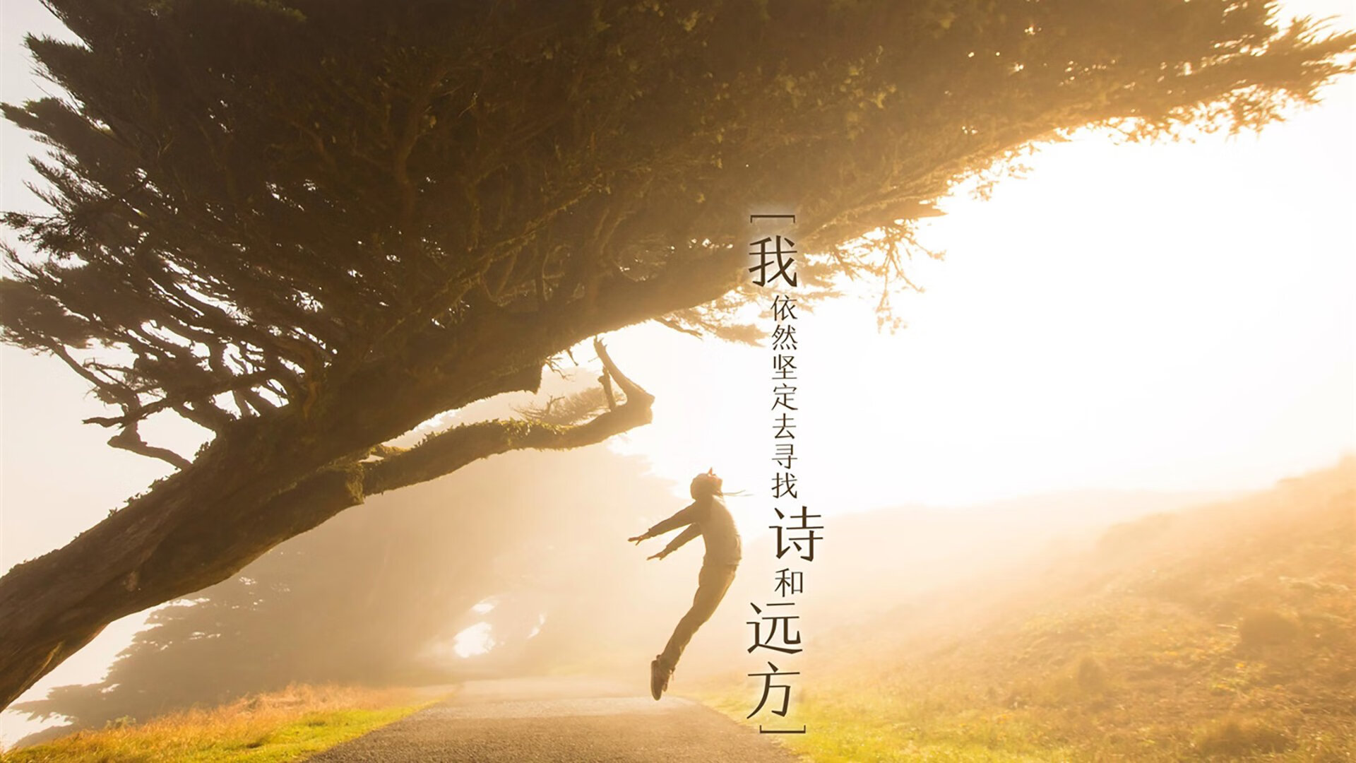 沙漠风暴席卷郁金香—2026世界杯B组揭幕战，沙特横扫荷兰，阿方索·戴维斯致命一击改写历史
