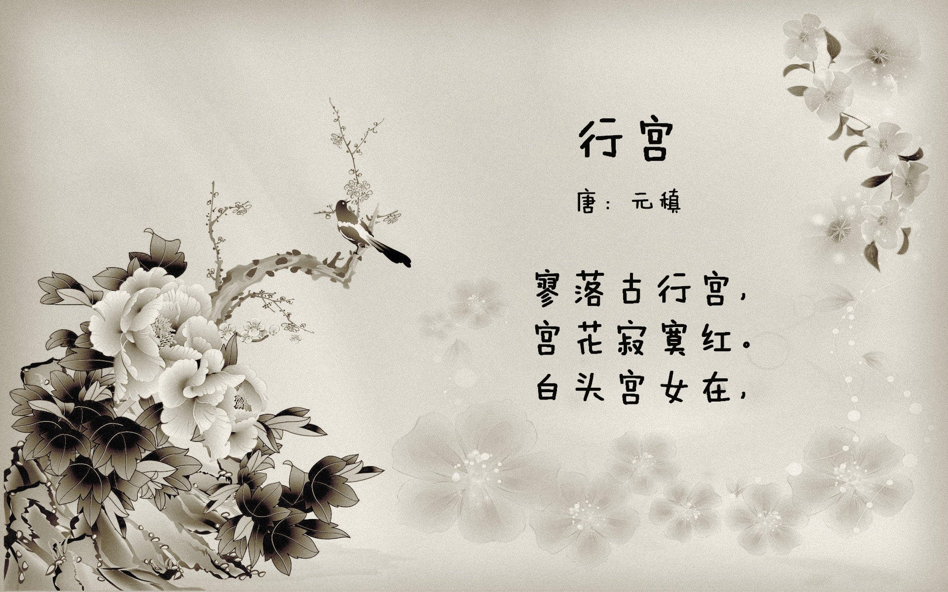 世界杯头名之争强强对话，加拿大绝杀越南，奥斯梅恩闪耀全场的铁血之夜
