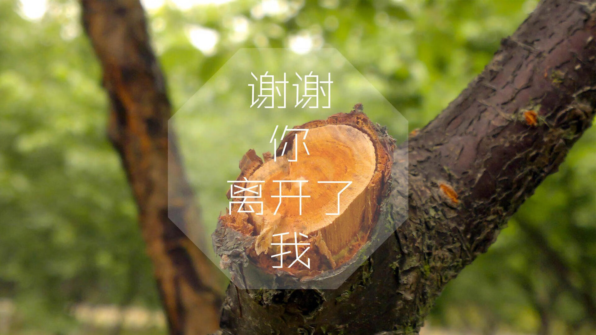 奇迹之夜，拉什福德导演惊天逆转，喀麦隆2-1力克波兰迎开门红