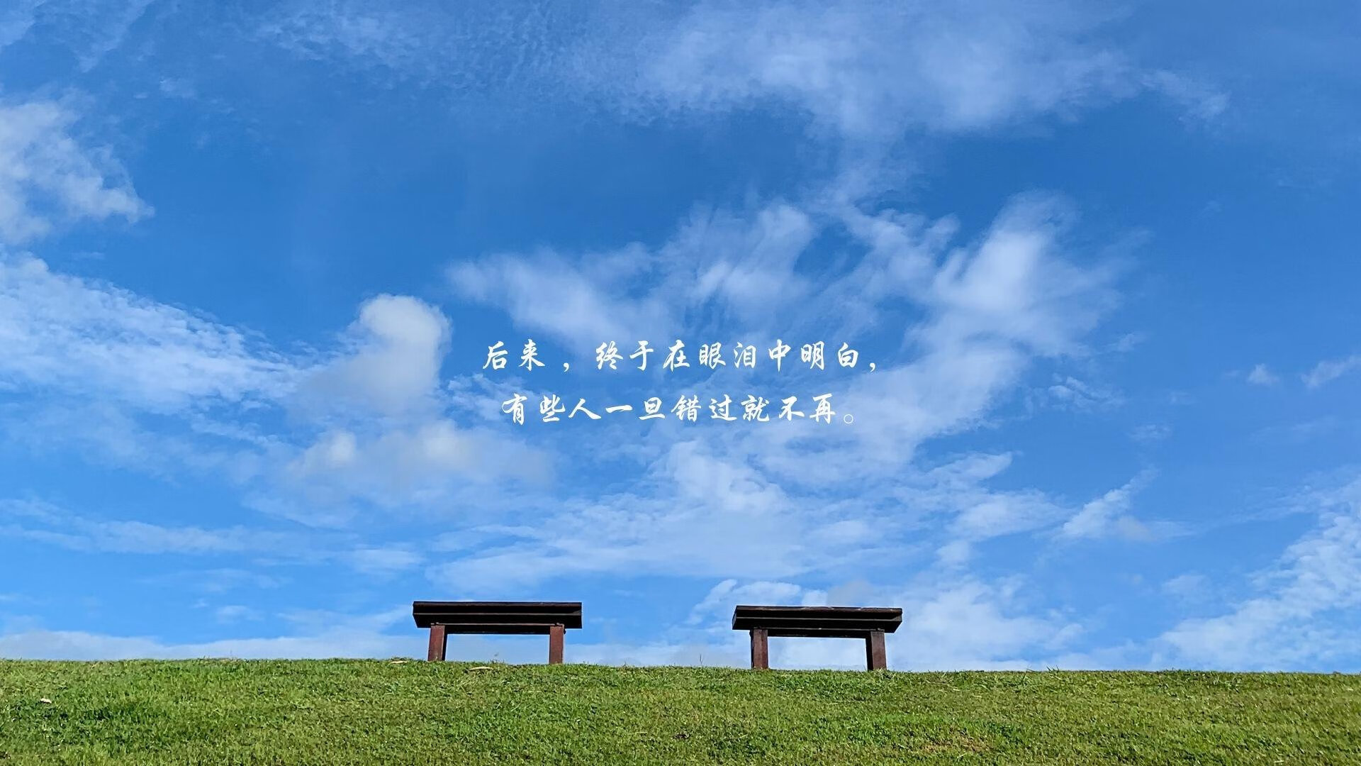 2026世界杯E组激战，比利时险胜保加利亚，魔笛莫德里奇奏响不老传奇
