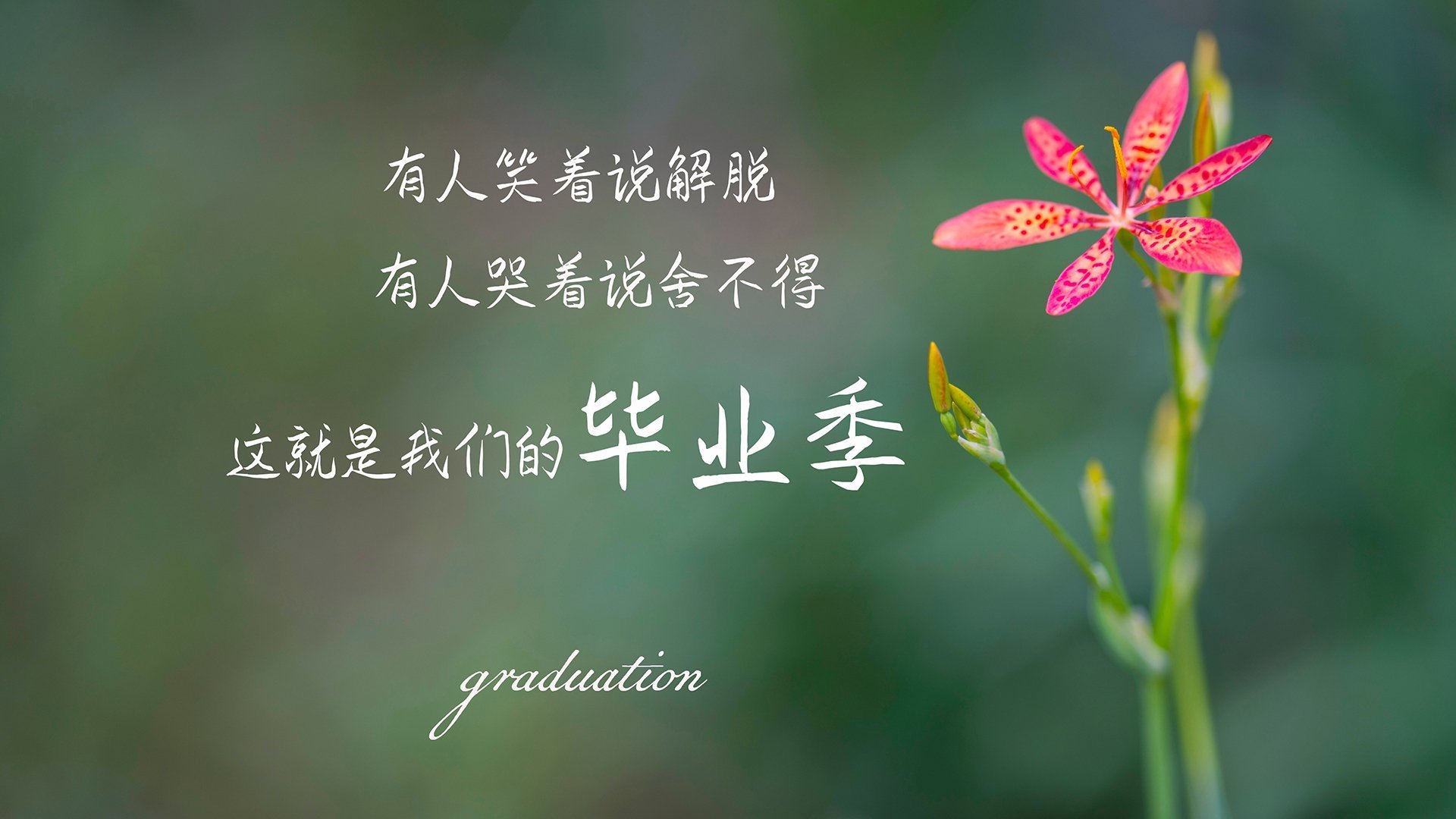 秘鲁风暴席卷B组,阿方索·戴维斯闪耀全场,巴西吞下完败苦果