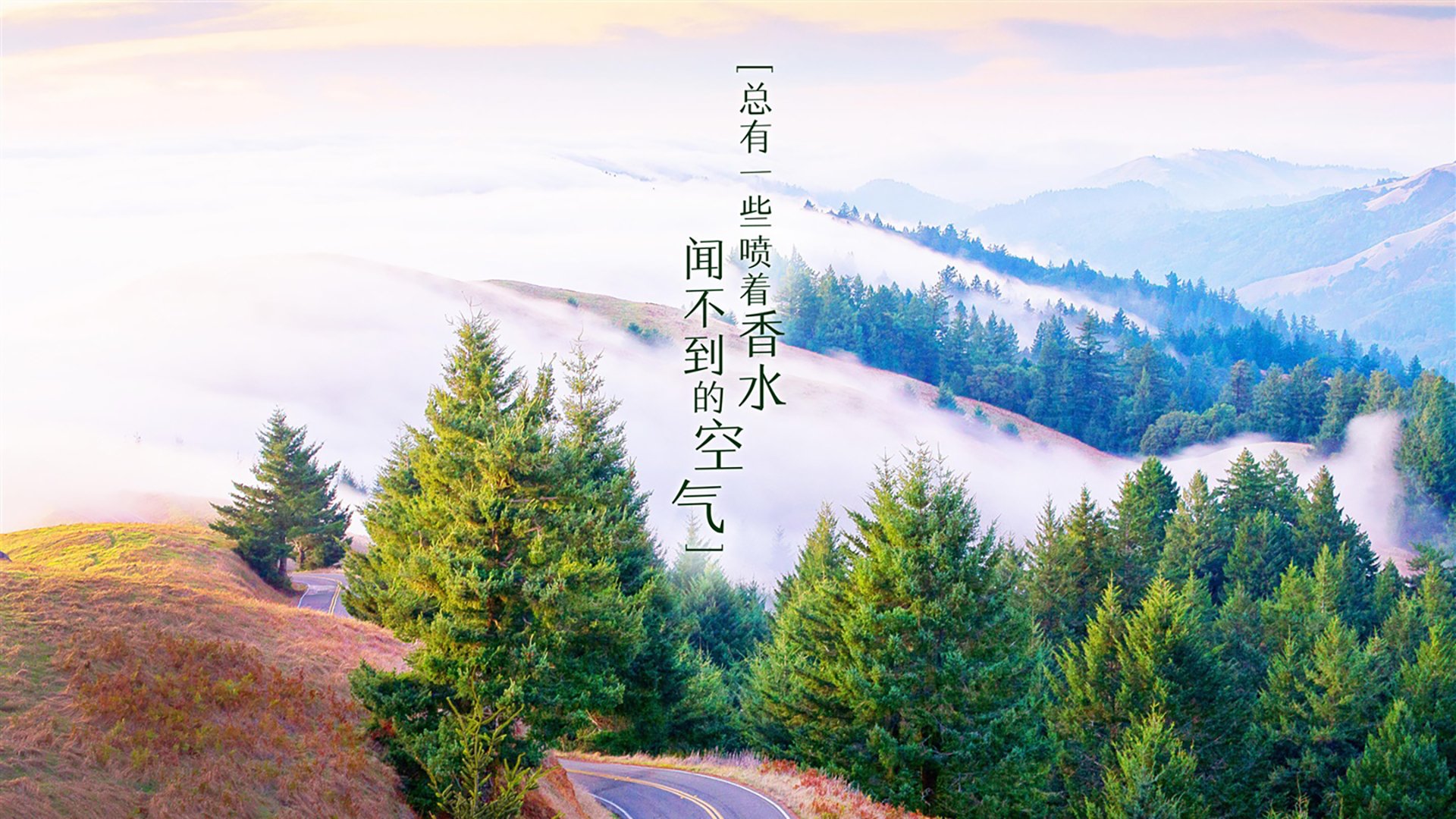 惊天绝杀!阿诺德压哨一击,加纳完胜沙特挺进2026世界杯十六强